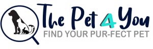 puppies for sale