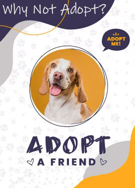 Dog adoption